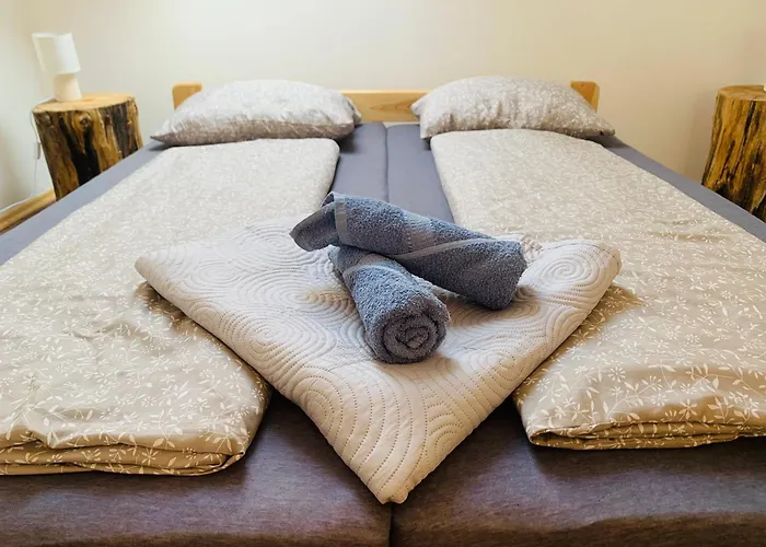 Of Art Vendeghaz Es Erdei Koezoessegi Haz Apartmán *